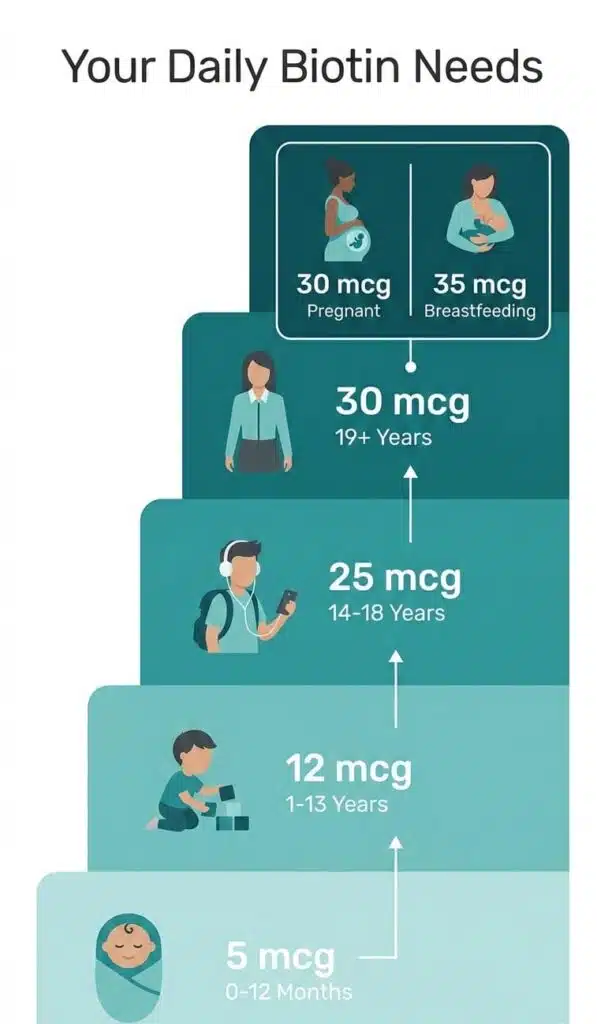 Infographic showing the recommended daily biotin intake (Adequate Intake) increasing with age, from 5 mcg for infants to 30-35 mcg for adults and breastfeeding women.