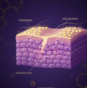 Cross-section view of skin layers showing glycolic acid molecule penetration and barrier protection during nighttime use
