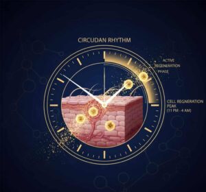 Clock face with glowing skin cells showing peak regeneration between 11 PM and 4 AM during glycolic acid treatment